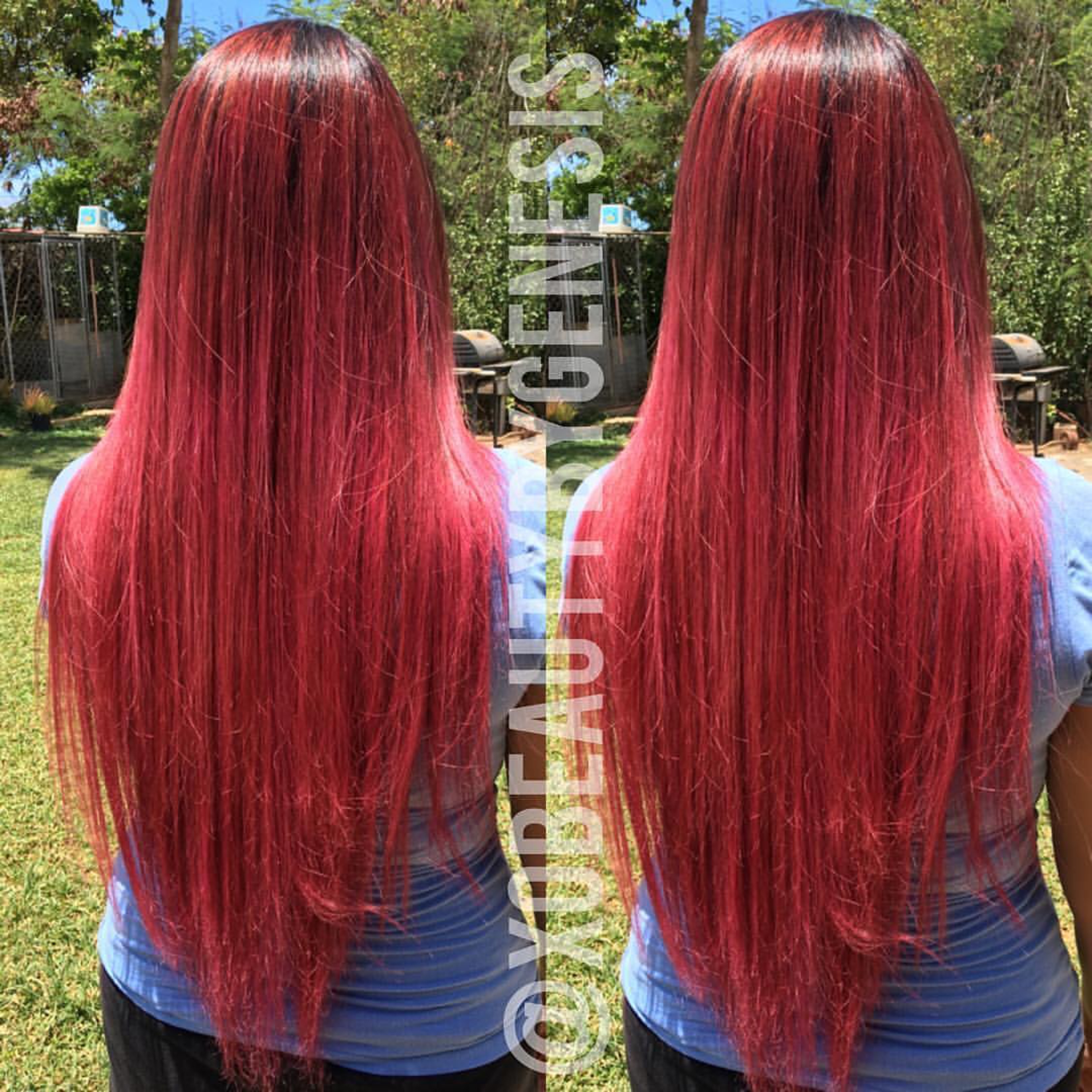 Fuschia Pink